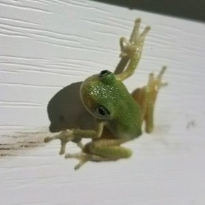 Meet your Posher, Taya